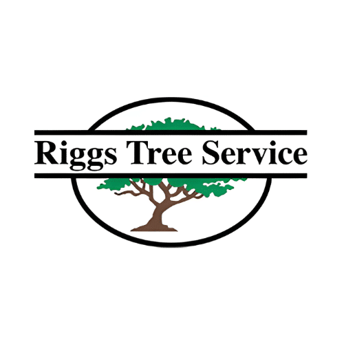 Untitled (Logo) (19)