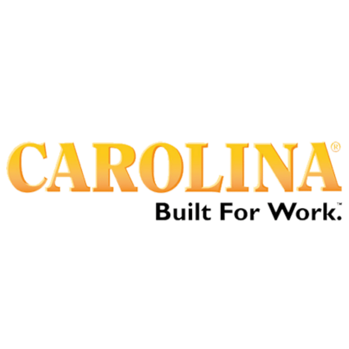 Untitled design - 2026-01-16T132753.220