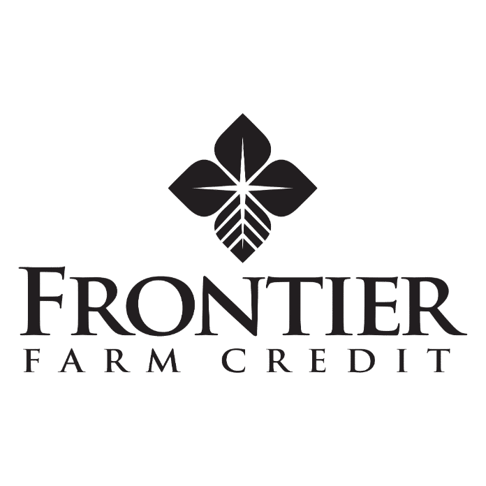 Untitled design - 2026-01-30T095445.567